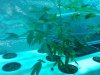 IMG_20110525_200413.jpg