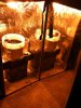IMG_0253.jpg IMG_0253.jpg