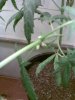 Imagen041.jpg