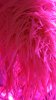 DSC00945.JPG