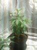 DSC00525.JPG