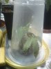 DSC00562.JPG