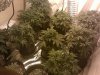 IMG_20110525_194045.jpg