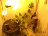 5-27-11 002.jpg