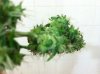 lunapic_130659943037830_3.jpg