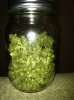lunapic_130659943037830_8.jpg