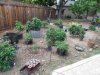 IMG_0379.jpg
