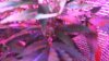 DSC01005.JPG