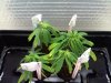 20110530211410.jpg 20110530211410.jpg