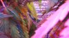 DSC01049.JPG
