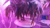 DSC01048.JPG