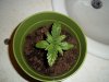 100_0172.JPG