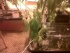 IMG00140-20110601-2026.jpg