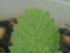 DSCN2631.jpg