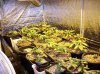 100_2530.JPG