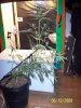 100_1751.jpg