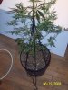 100_1750.jpg