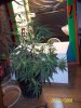 100_1752.jpg