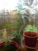 DSC00930.jpg
