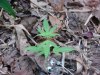 DSC00858.JPG