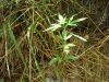 DSC00866.JPG