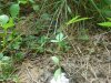 DSC00873.JPG