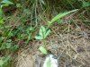 DSC00874.JPG