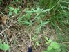 DSC00878.JPG