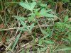 DSC00879.JPG