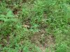 DSC00884.JPG