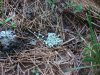DSC00885.JPG