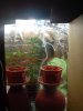DSC00895.jpg