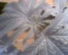 Picture 003.jpg