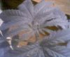 Picture 005.jpg