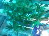 IMG_20110601_201007.jpg