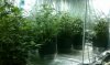 IMAG0462.jpg