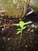 2011-06-07 09.23.15.jpg