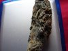 blackdomina2.jpg