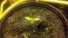 2011-06-08_17-59-01_342.jpg