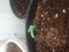 2011-06-10 13.53.18.jpg