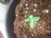 2011-06-10 13.53.02.jpg