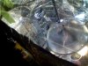 Picture0020.jpg