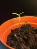 2011-06-15 10.17.12.jpg
