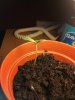 2011-06-15 10.17.21.jpg