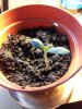 2011-06-15 10.16.37.jpg
