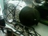Carbon Filter.jpeg Carbon Filter.jpeg