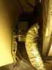 downsized_0615012222.jpg