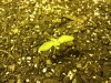 downsized_0615011917a.jpg