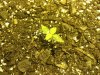 downsized_0615011917b.jpg
