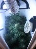 2011-06-15 22.08.56.jpg